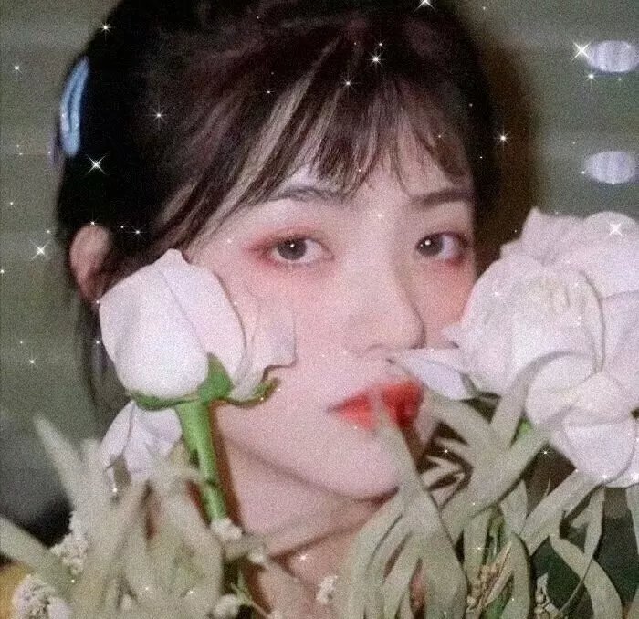 暗香来